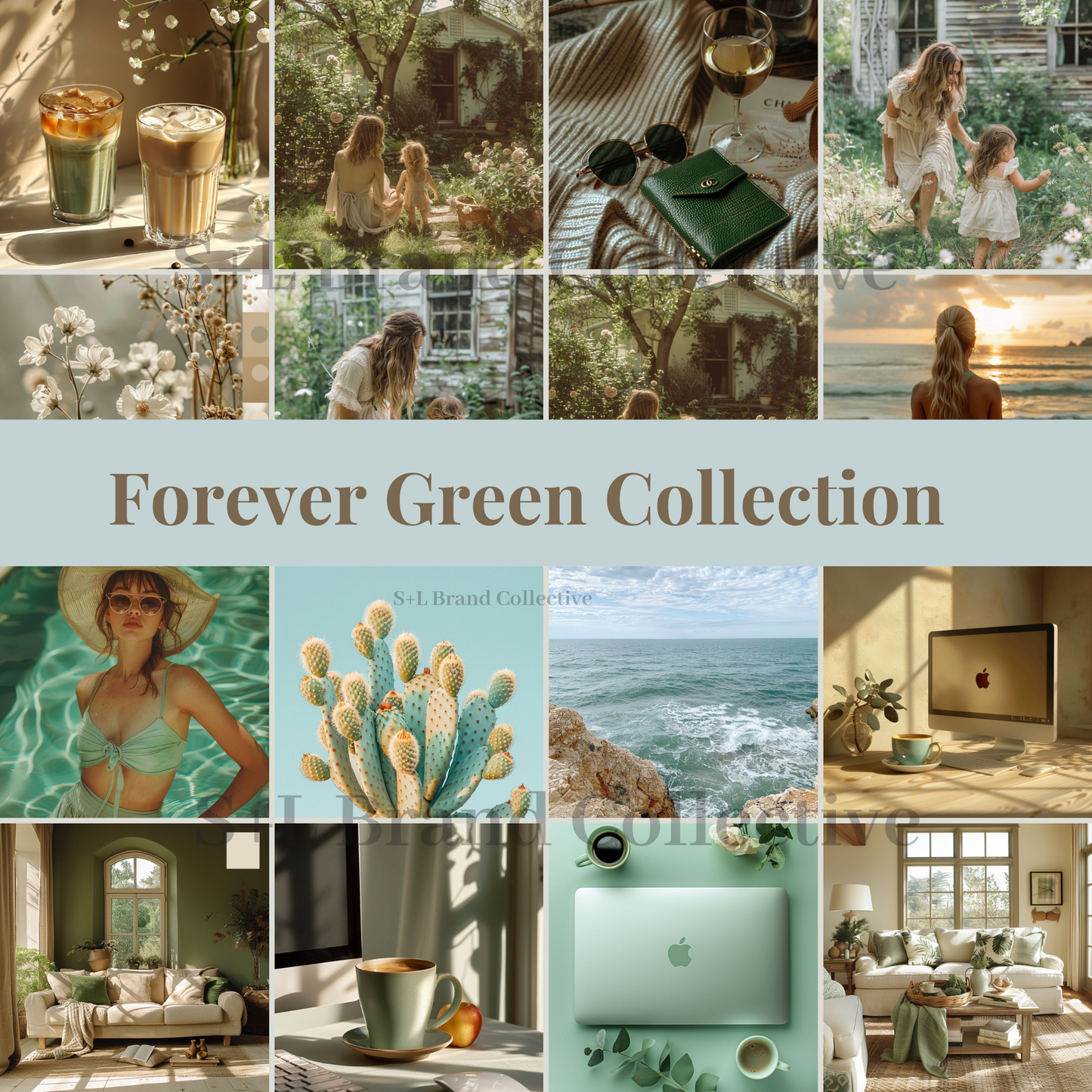 Stock Photo Aesthetic Forever Green Collection